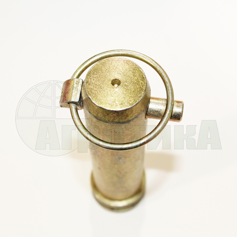 Фиксатор 12X45 SAE1010-1020 ZN10C Walterschied 1095409
