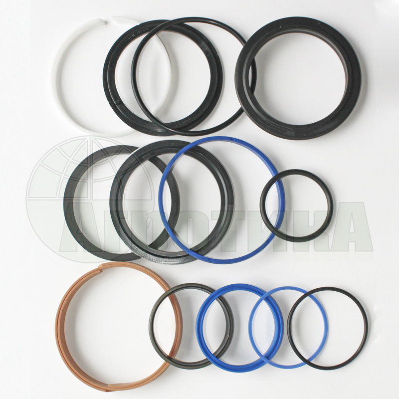 Комплект уплотнений гидроцилиндра CHAPEL для VS70120600-001 CP2J70120 Агрисем (Agrisem)