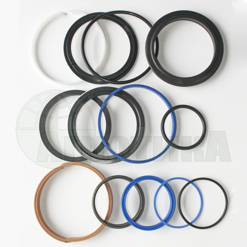 Комплект уплотнений гидроцилиндра CHAPEL для VS70120600-001 CP2J70120 Агрисем (Agrisem)
