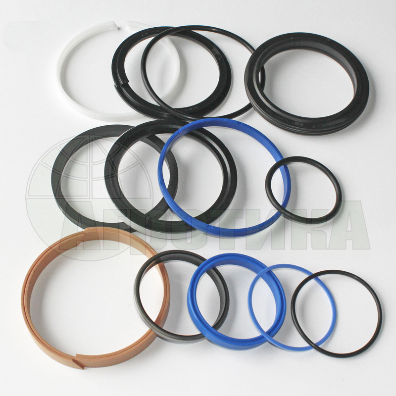 Комплект уплотнений гидроцилиндра CHAPEL для VS70120600-001 CP2J70120 Агрисем (Agrisem)