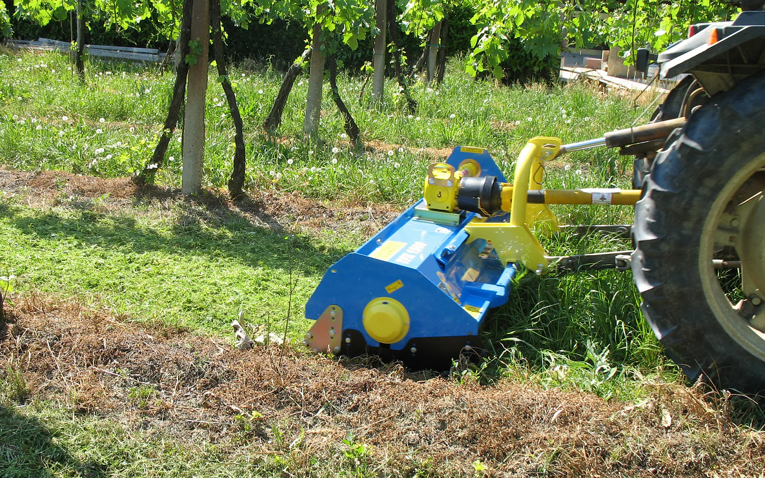 Мульчер ZANON TFX для садов и ягодных плантаций