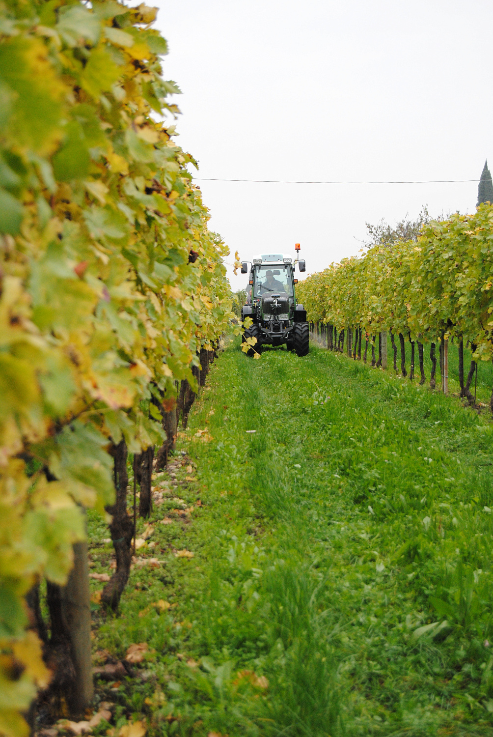 Навесной разбрасыватель удобрений L15